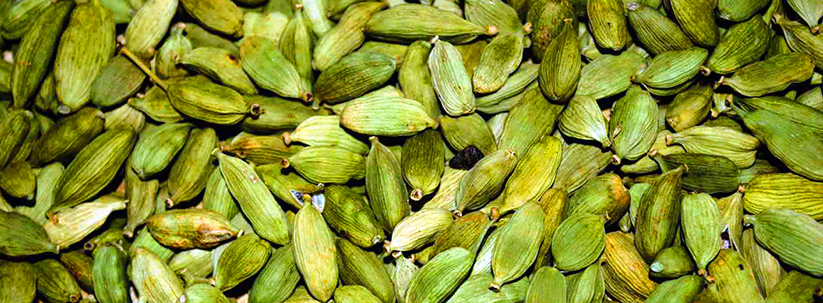 Srí Lanka - kardamon